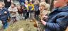 Boerderijbezoek 1ste kleuterklas