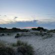 IMG-20230925-WA0066.jpg