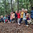 Bosdag K1B