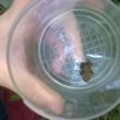 WP_20170922_11_24_33_Pro.jpg
