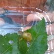 WP_20170922_10_23_08_Pro.jpg