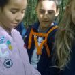 WP_20170922_11_24_41_Pro.jpg