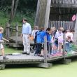 rsz_img_2263.jpg