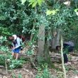 rsz_img_2252.jpg