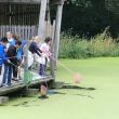 rsz_img_2268.jpg