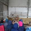 SAM_3263 (Small).JPG
